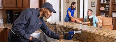 Professional Pest control in Mount Morris, MI